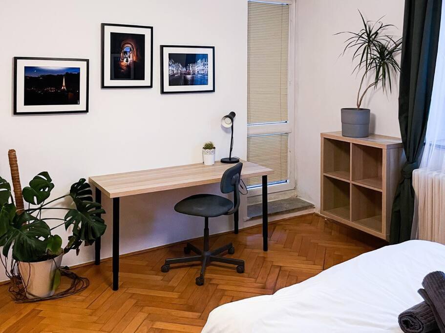 Rodinny Byt Pro 4 Na Brno-Stred Exterior foto